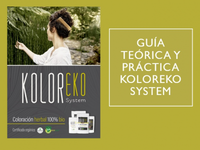 Guía teórica y práctica Koloreko System
